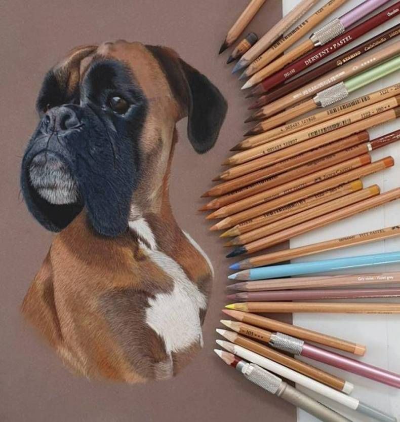Gewoon een verzameling hilarische foto's #1399