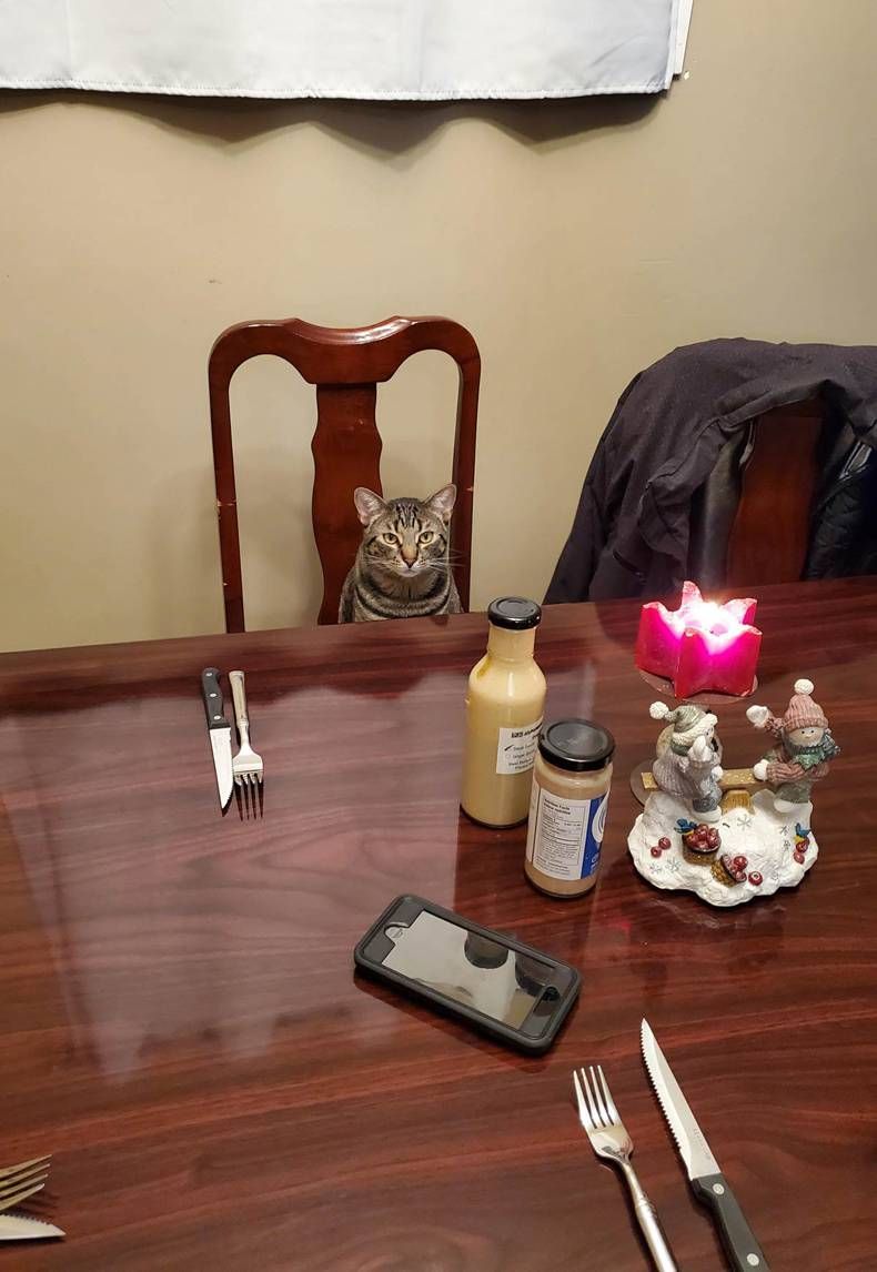 Gewoon een verzameling hilarische foto's #1383