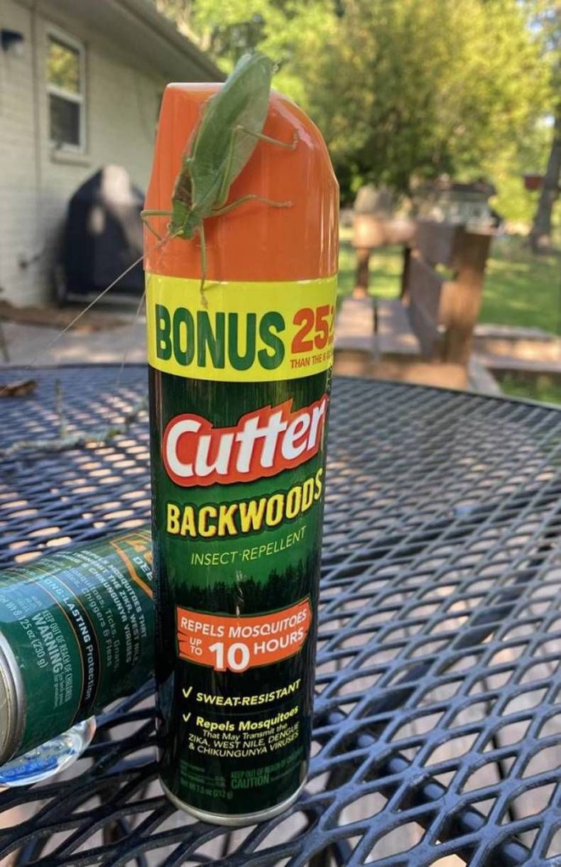 Gewoon een verzameling hilarische foto's #1466