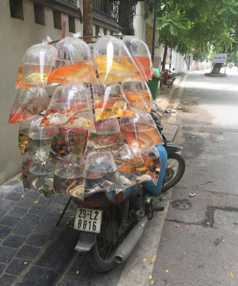 Gewoon een verzameling hilarische foto’s #1464