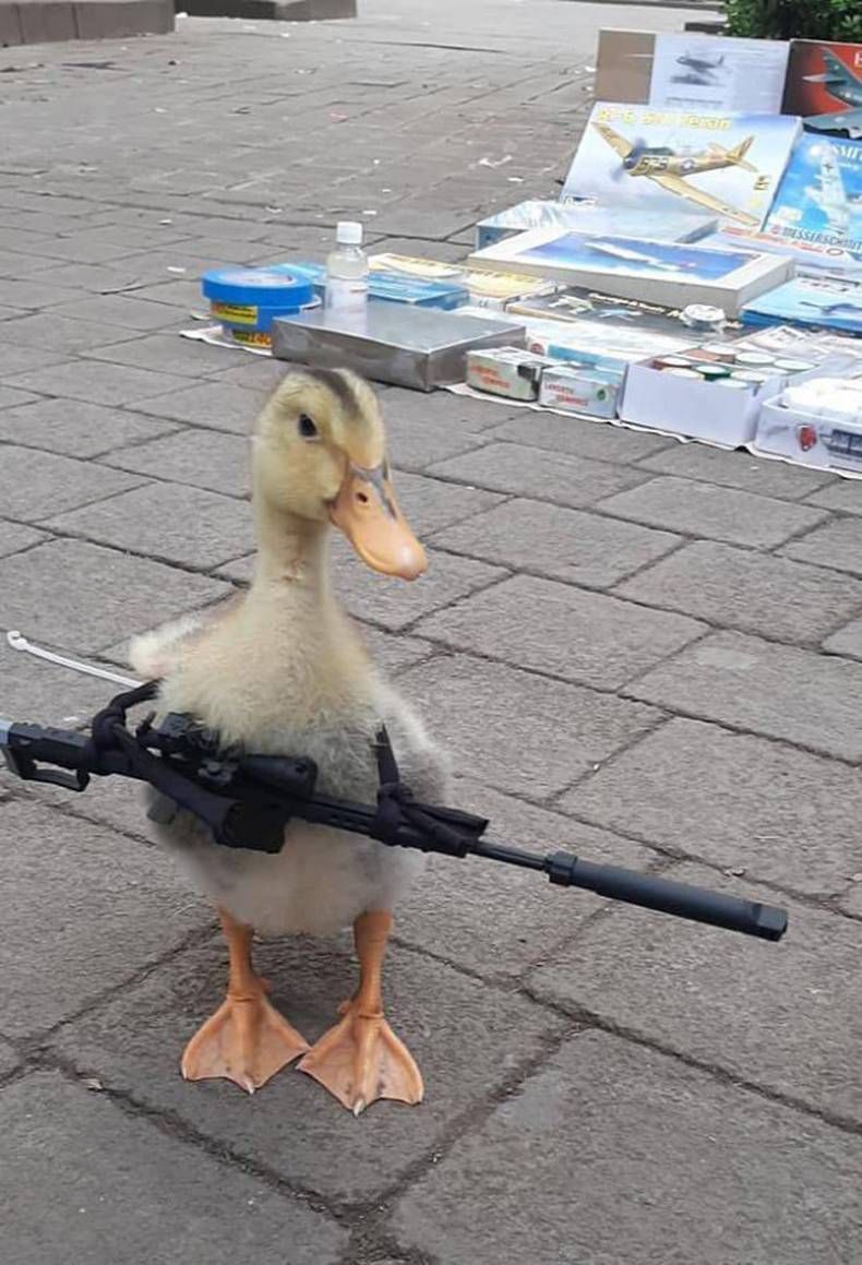 Gewoon een verzameling hilarische foto's #1461