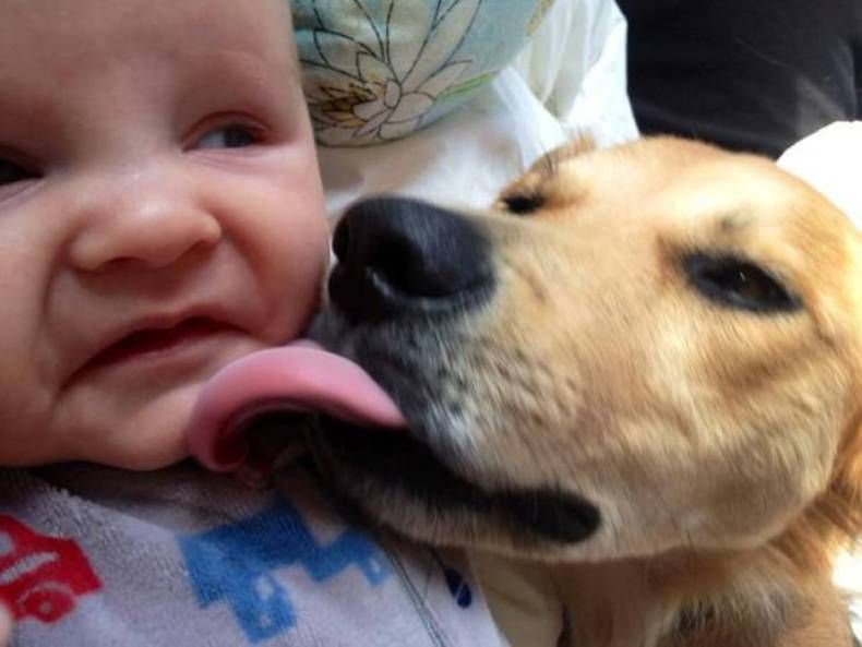 Gewoon een verzameling hilarische foto's #1420