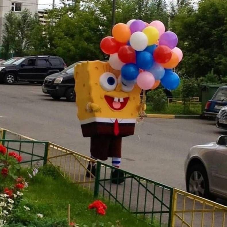 Gewoon een verzameling hilarische foto's #1477