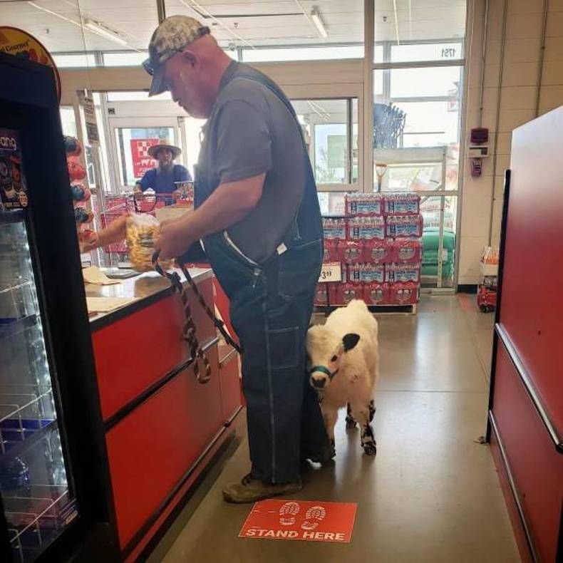 Gewoon een verzameling hilarische foto's #1434