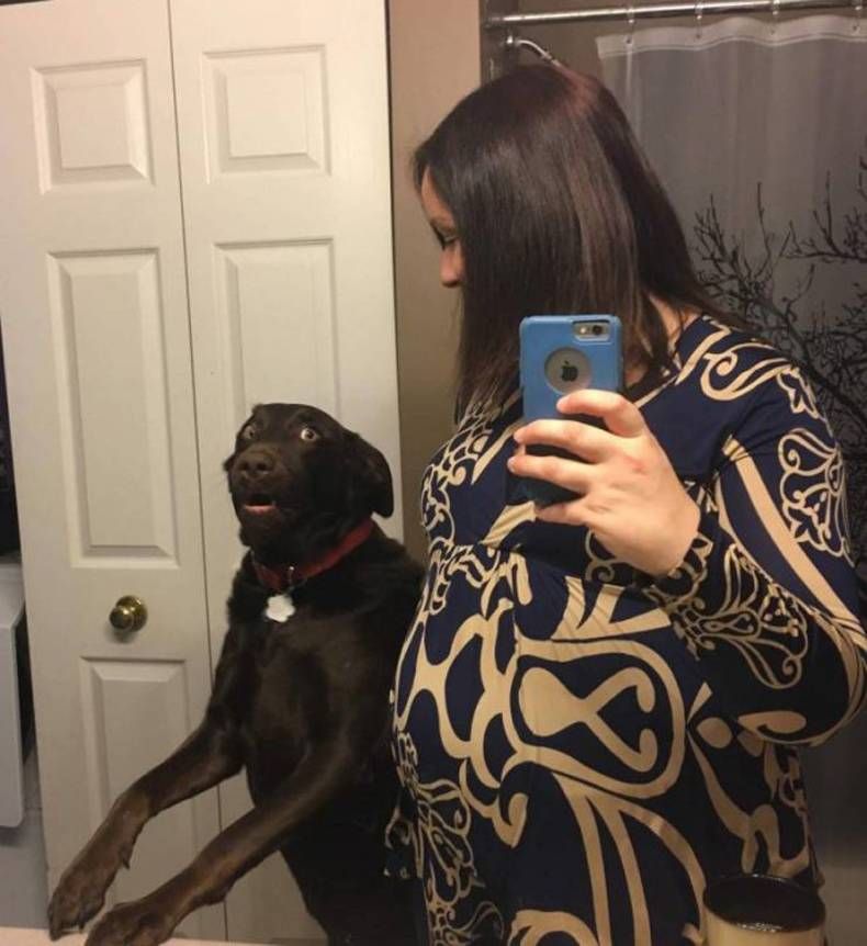 Gewoon een verzameling hilarische foto's #1432