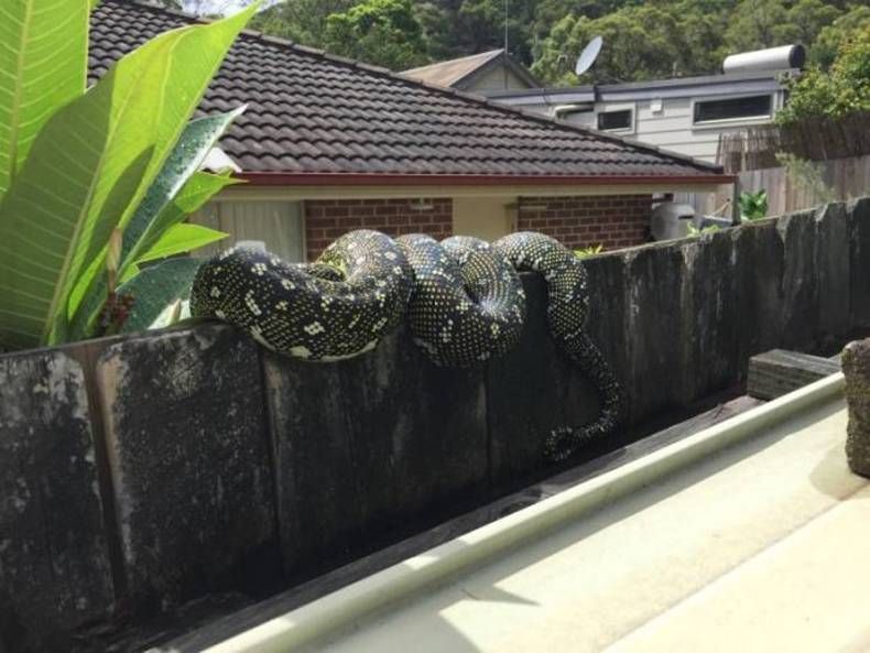 Gewoon een verzameling hilarische foto's #1409