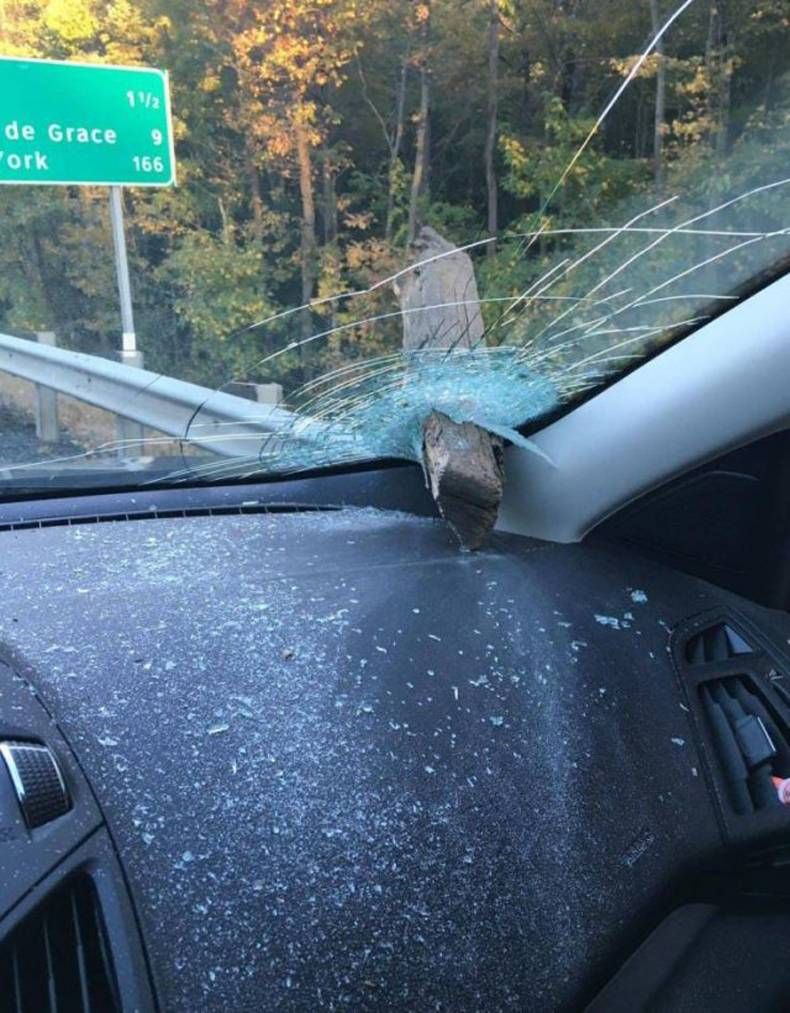 Gewoon een verzameling hilarische foto's #1468