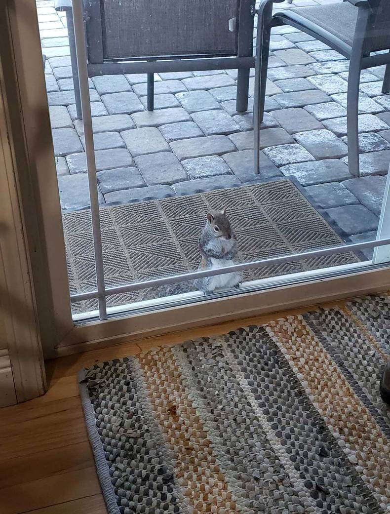 Gewoon een verzameling hilarische foto's #1440