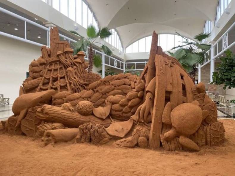 Gewoon een verzameling hilarische foto's #1438