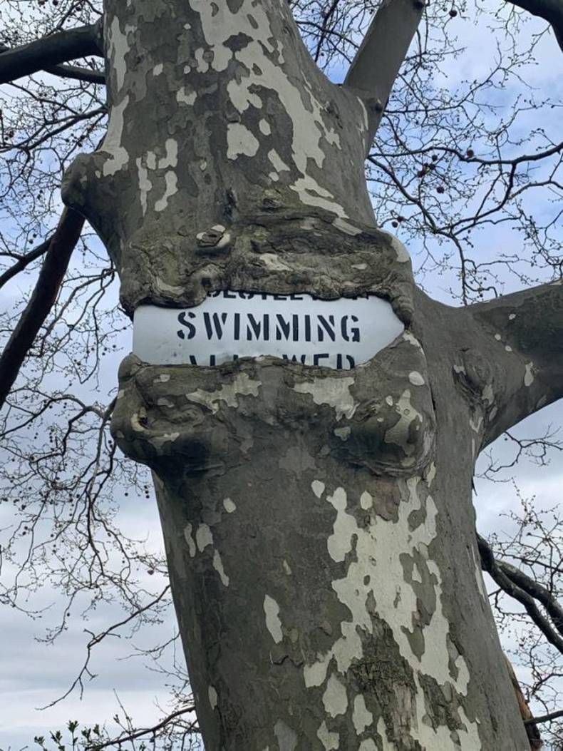 Gewoon een verzameling hilarische foto's #1432