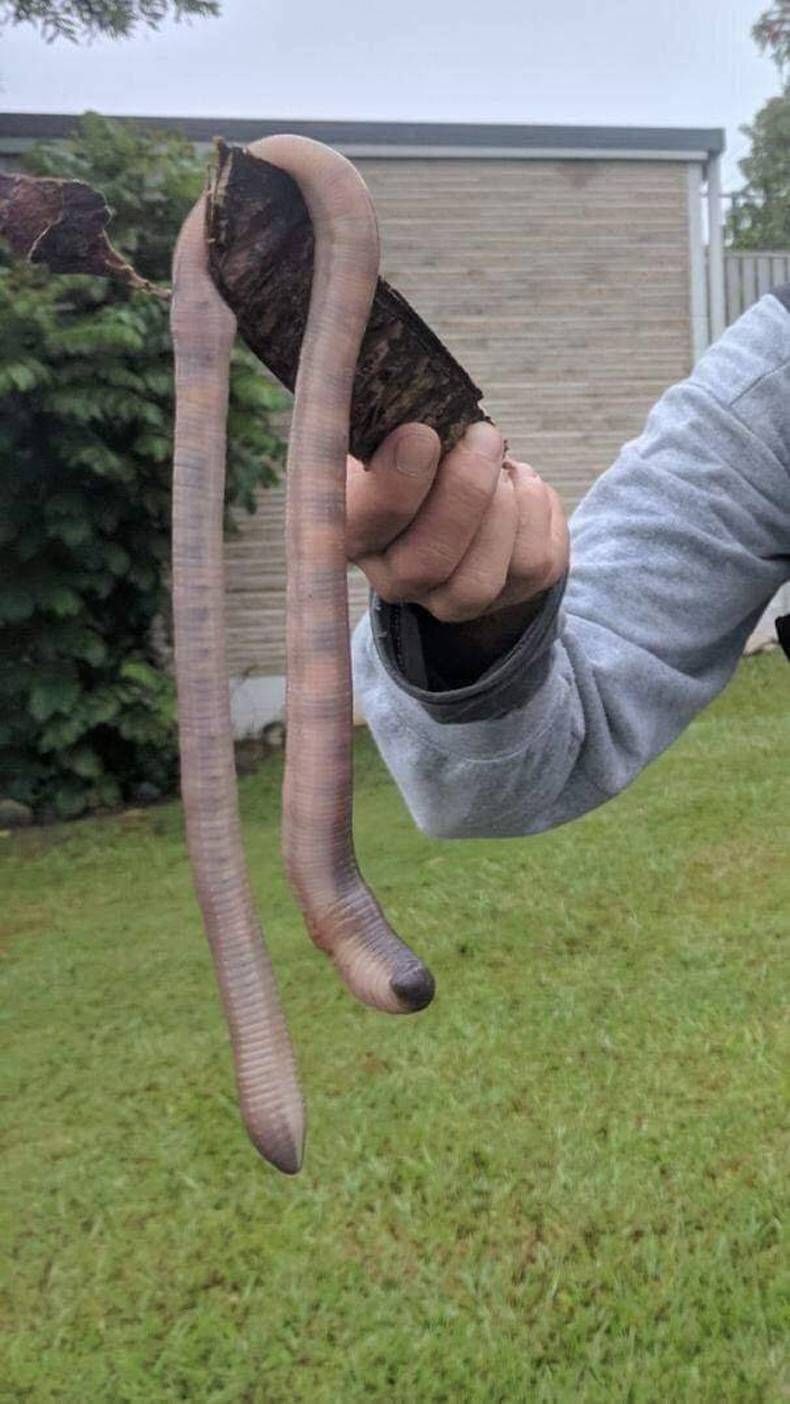 Gewoon een verzameling hilarische foto's #1386