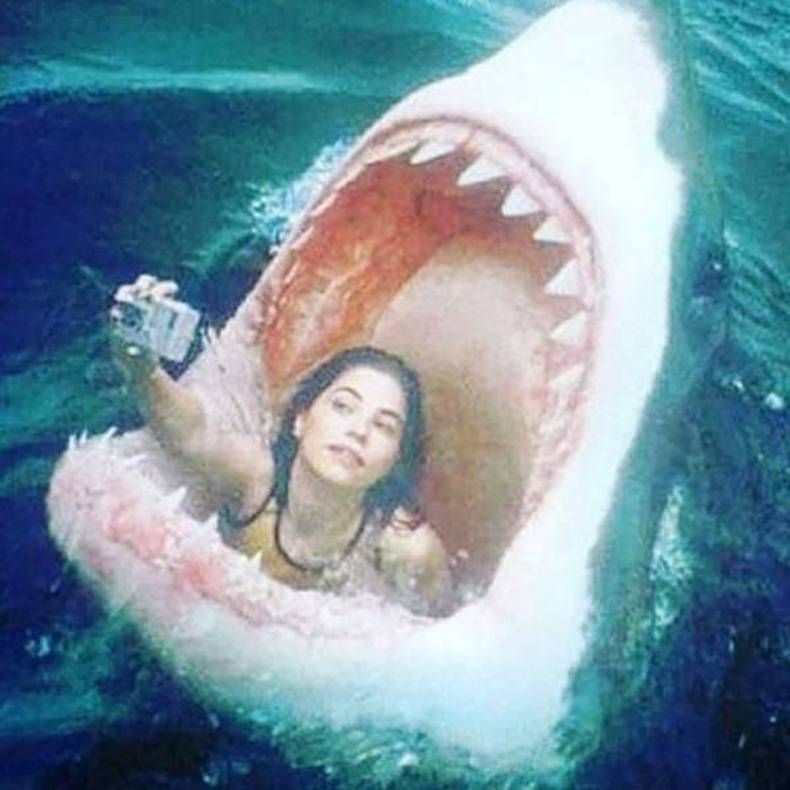 Gewoon een verzameling hilarische foto's #1473
