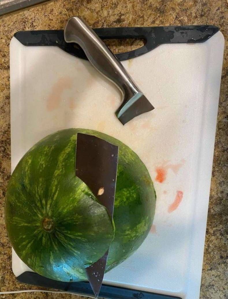 Gewoon een verzameling hilarische foto's #1421