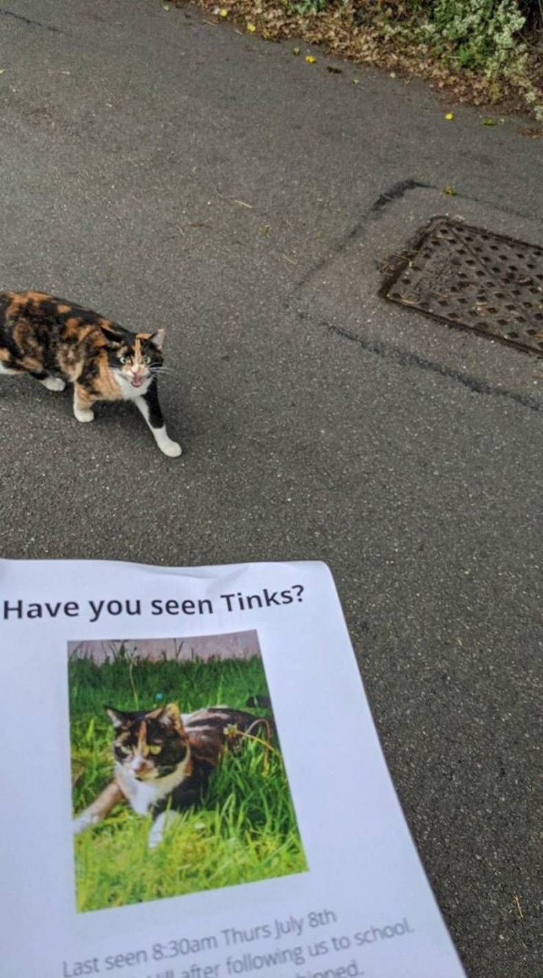 Gewoon een verzameling hilarische foto's #1466