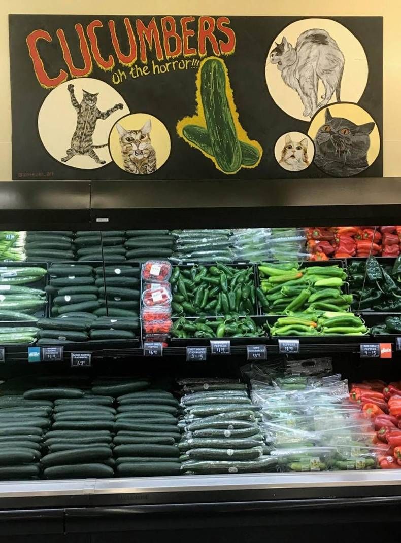 Gewoon een verzameling hilarische foto's #1447