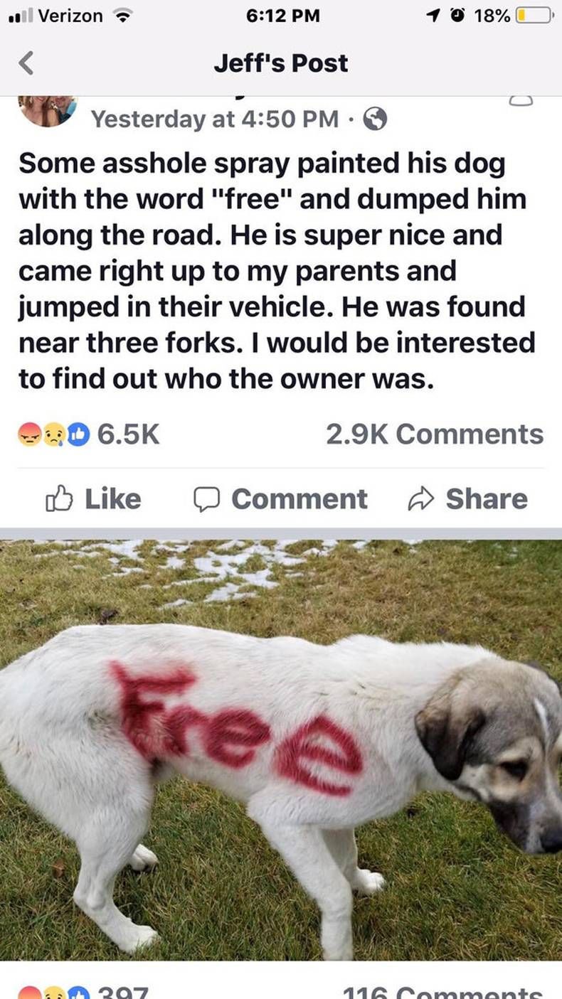 Gewoon een verzameling hilarische foto's #1469