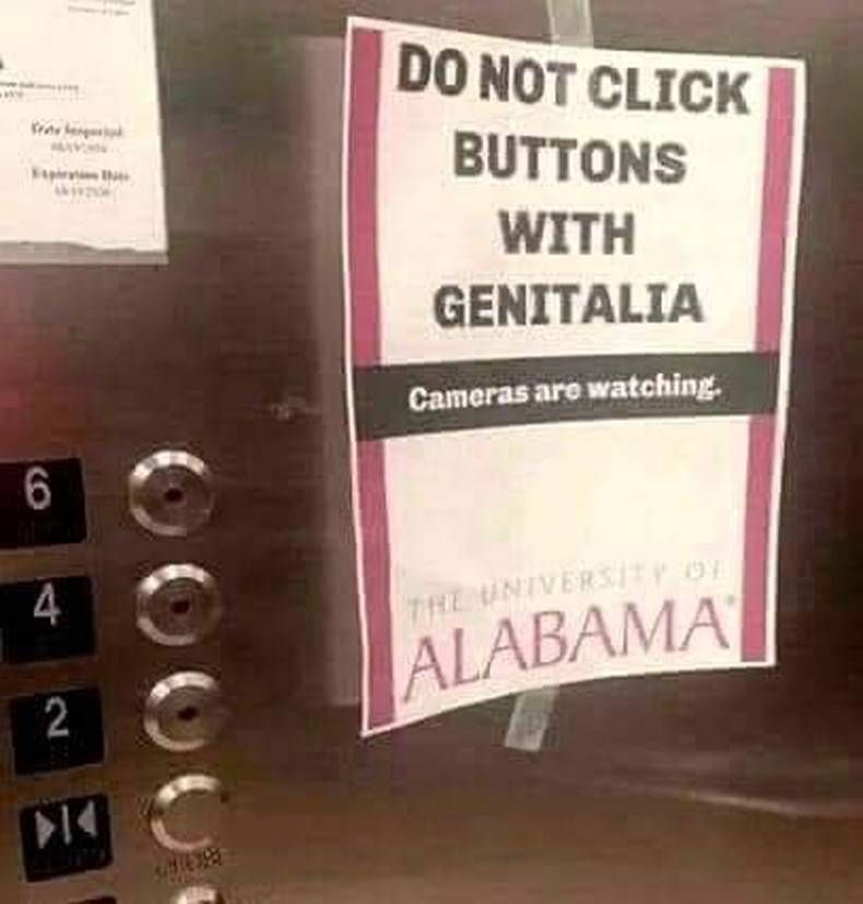 Gewoon een verzameling hilarische foto's #1421