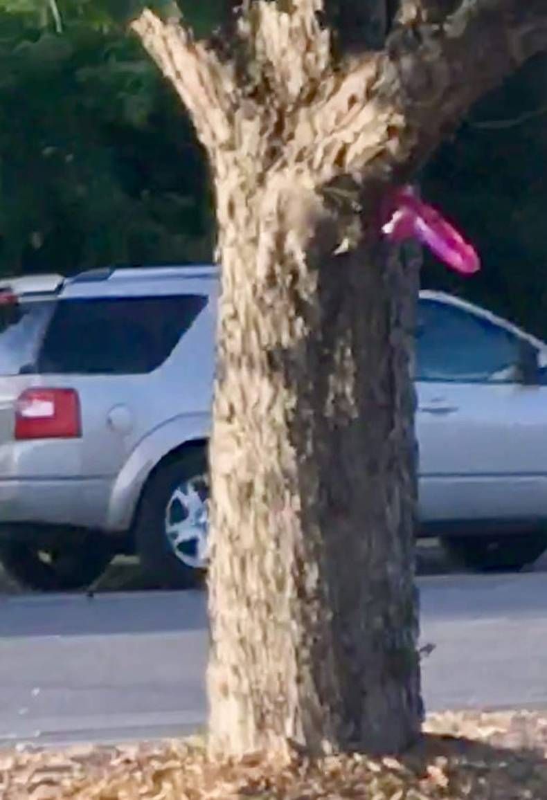 Gewoon een verzameling hilarische foto's #1449