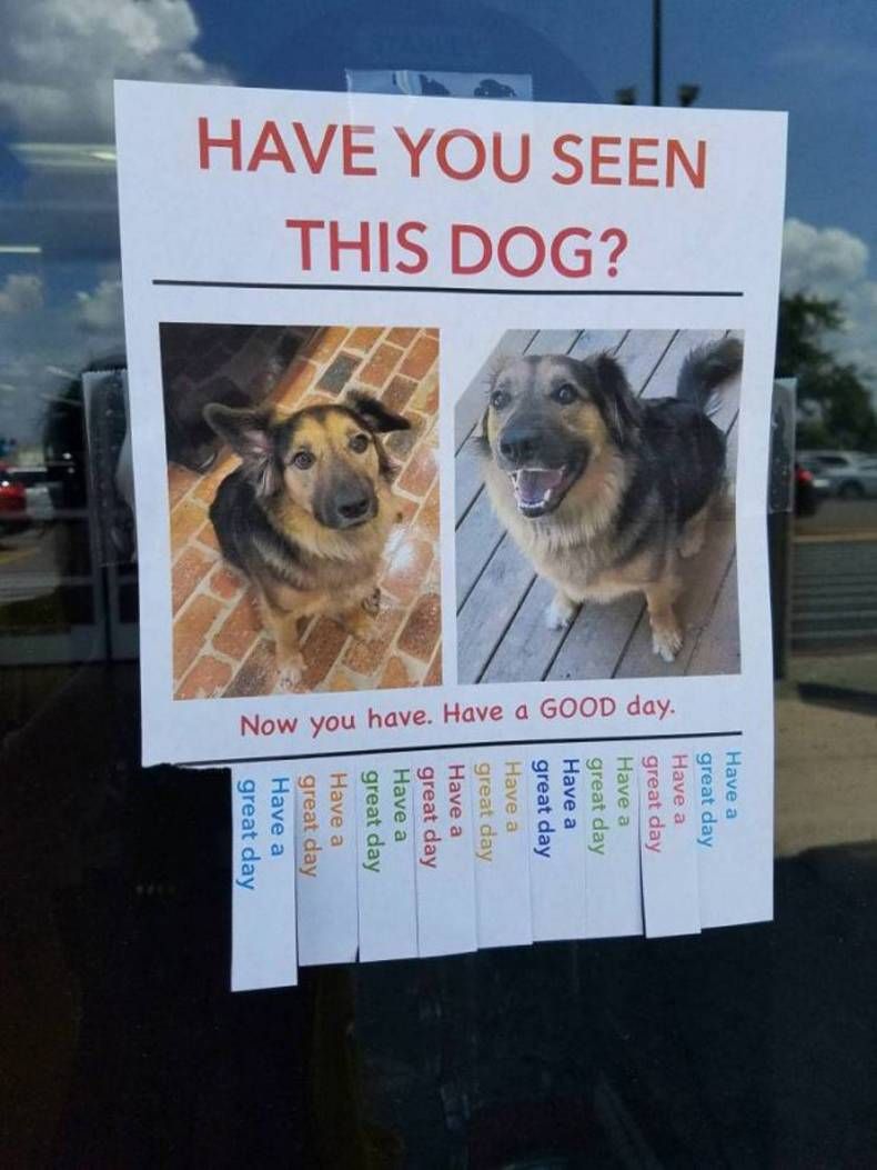 Gewoon een verzameling hilarische foto's #1409