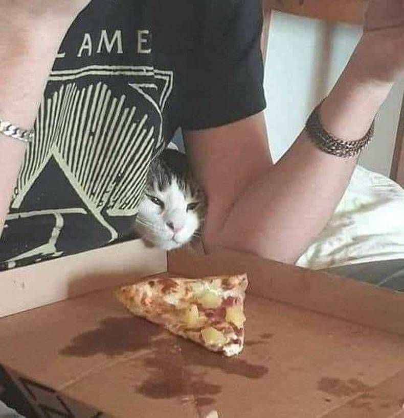 Gewoon een verzameling hilarische foto's #1389