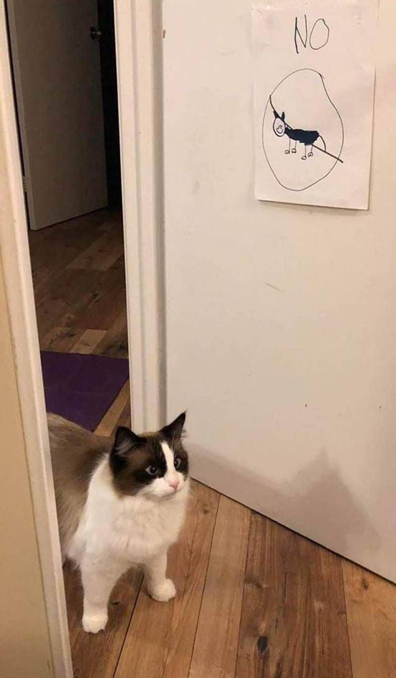 Gewoon een verzameling hilarische foto's #1475