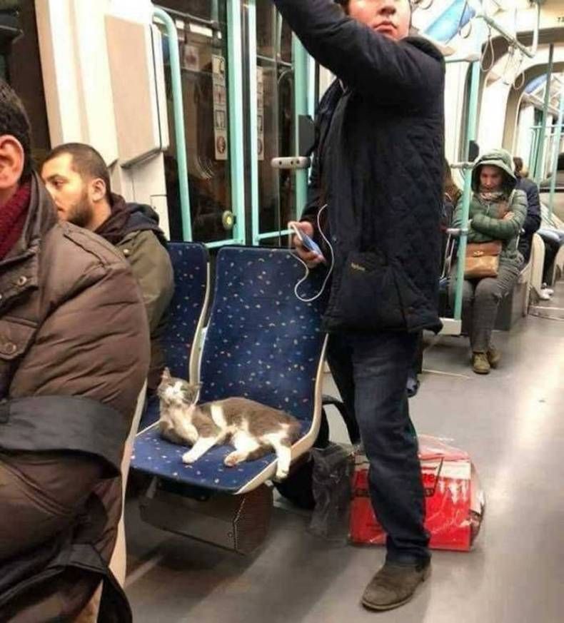 Gewoon een verzameling hilarische foto's #1438