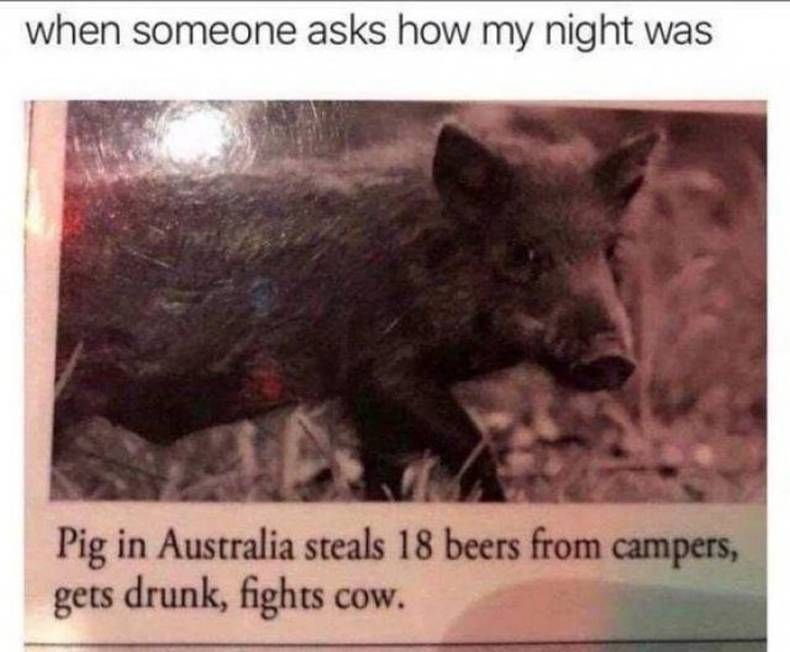 Gewoon een verzameling hilarische foto's #1409