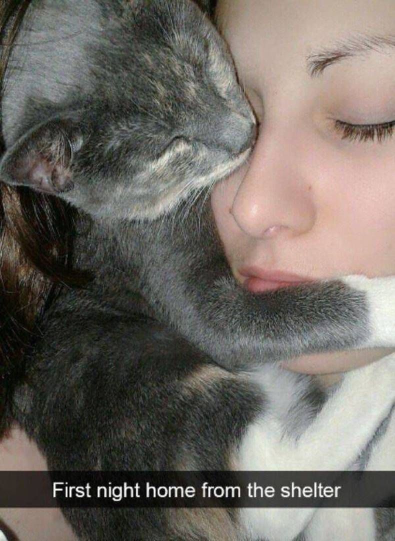 Gewoon een verzameling hilarische foto's #1390