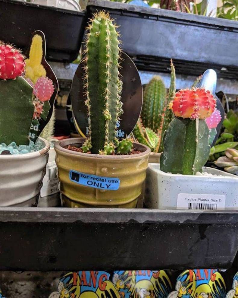 Gewoon een verzameling hilarische foto's #1462