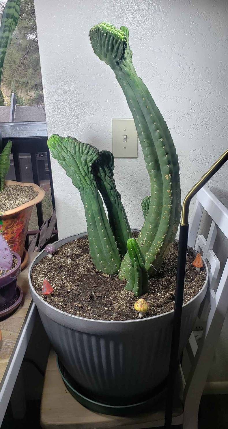 Gewoon een verzameling hilarische foto's #1456