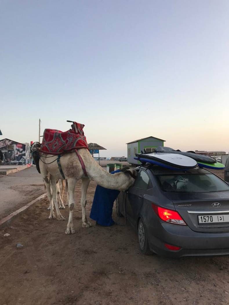 Gewoon een verzameling hilarische foto's #1440
