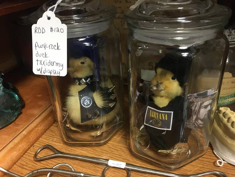 Gewoon een verzameling hilarische foto's #1383