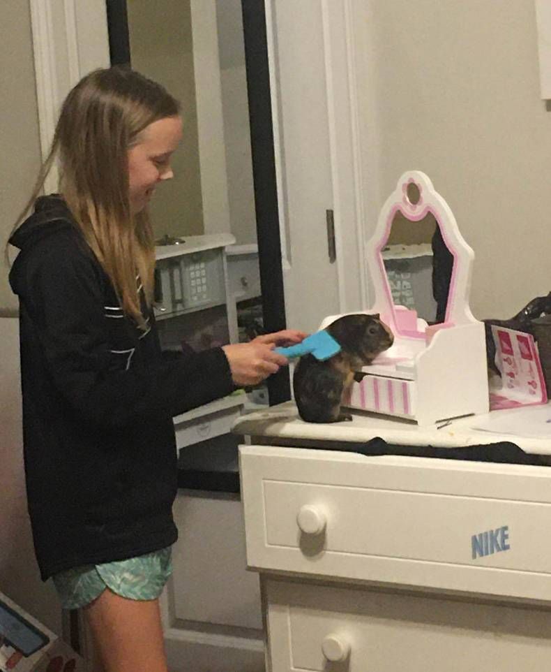 Gewoon een verzameling hilarische foto's #1384