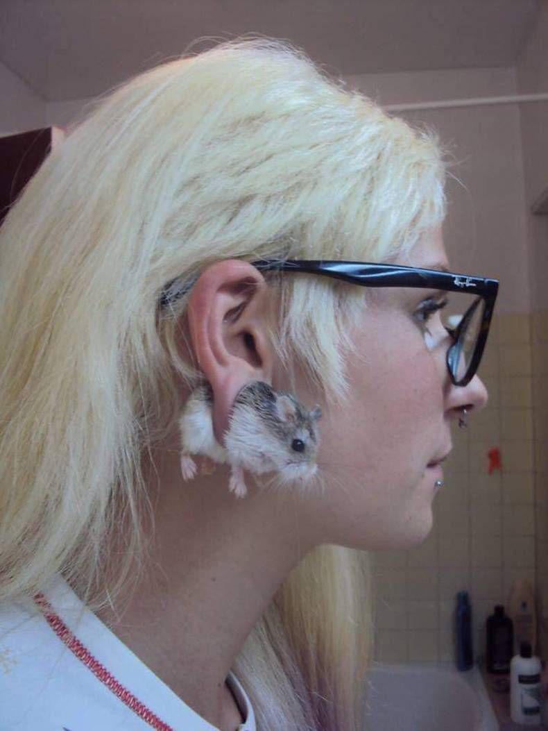 Gewoon een verzameling hilarische foto's #1473