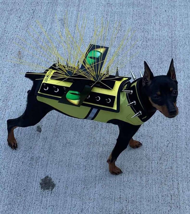 Gewoon een verzameling hilarische foto's #1458