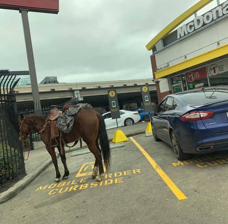 Gewoon een verzameling hilarische foto's #1449