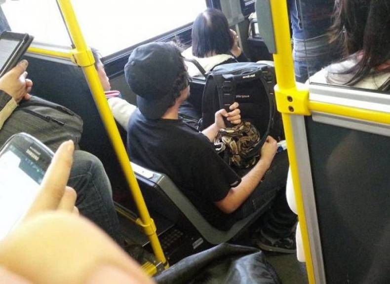 Gewoon een verzameling hilarische foto's #1468