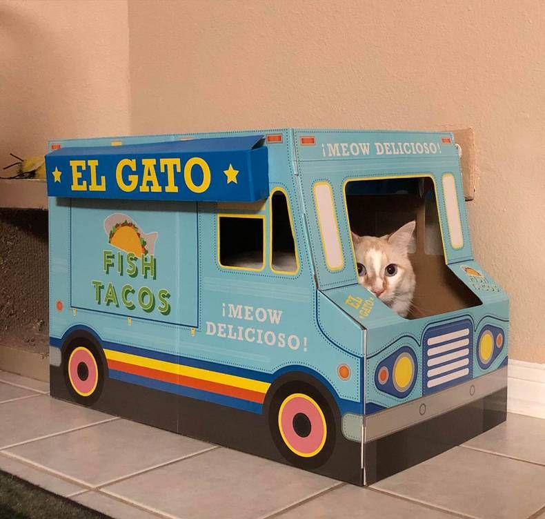 Gewoon een verzameling hilarische foto's #1409