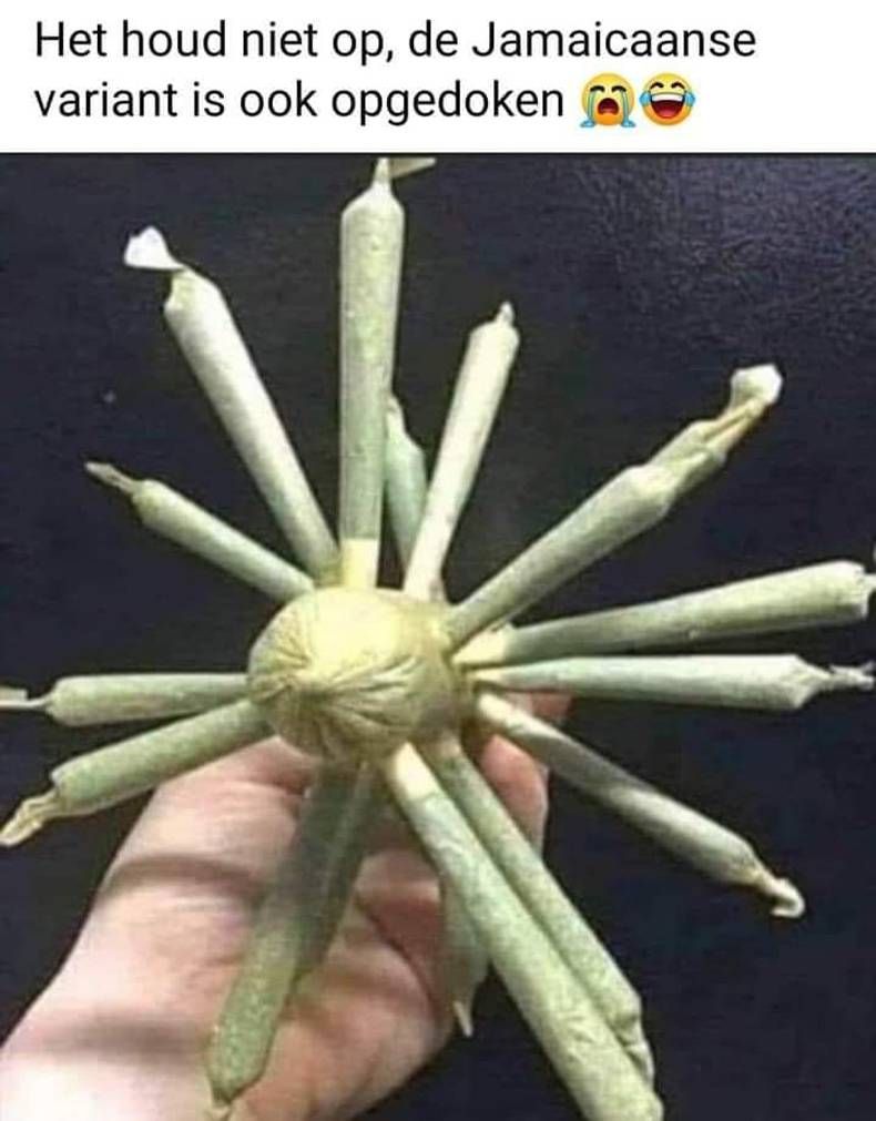Gewoon een verzameling hilarische foto's #1393