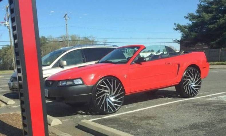 Gewoon een verzameling hilarische foto's #1432