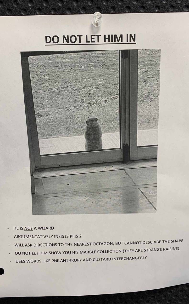 Gewoon een verzameling hilarische foto's #1462