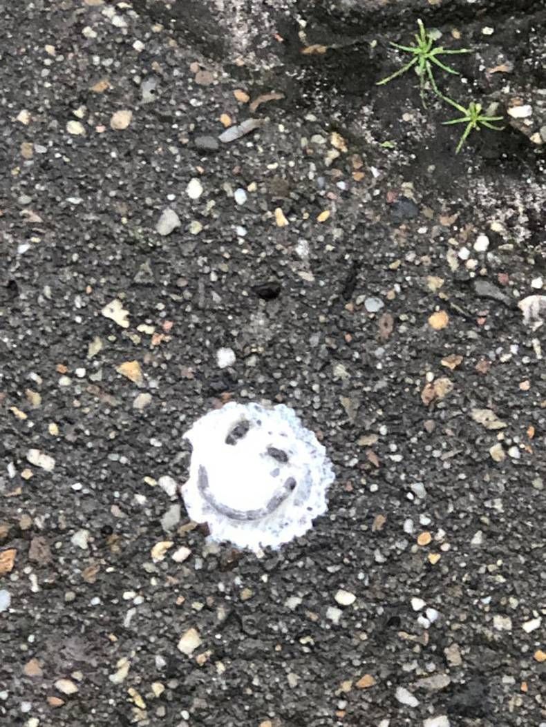 Gewoon een verzameling hilarische foto's #1395