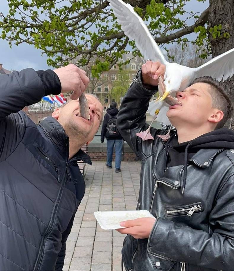 Gewoon een verzameling hilarische foto's #1438