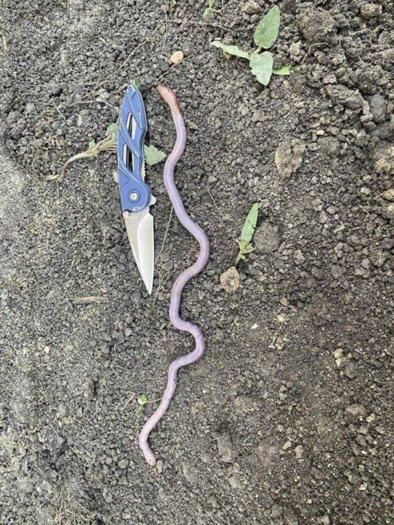 Gewoon een verzameling hilarische foto's #1432