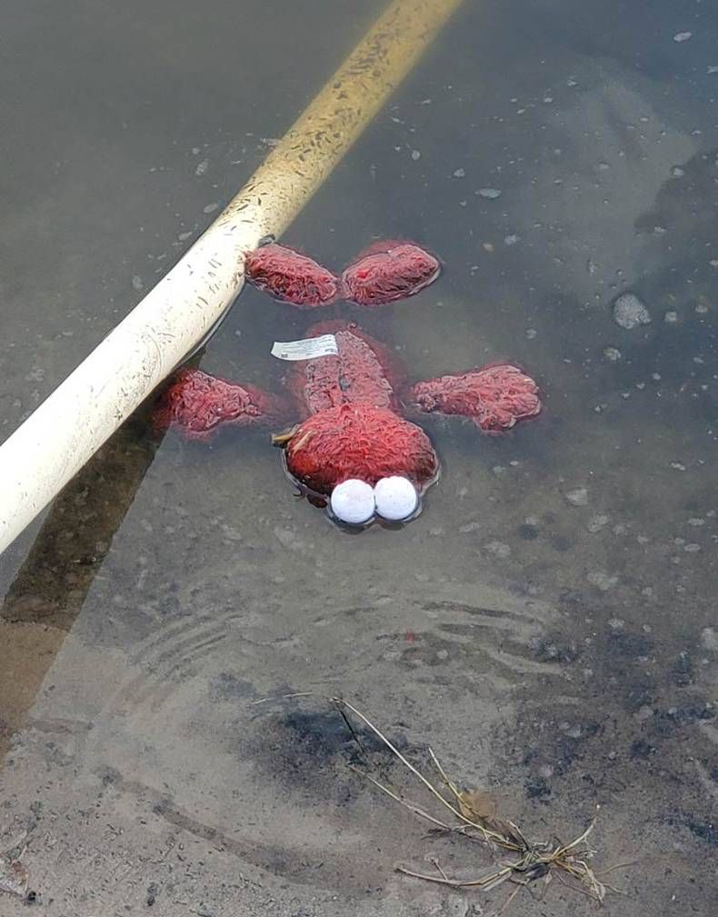 Gewoon een verzameling hilarische foto's #1389