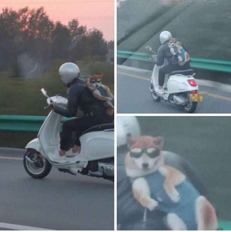 Gewoon een verzameling hilarische foto's #1482