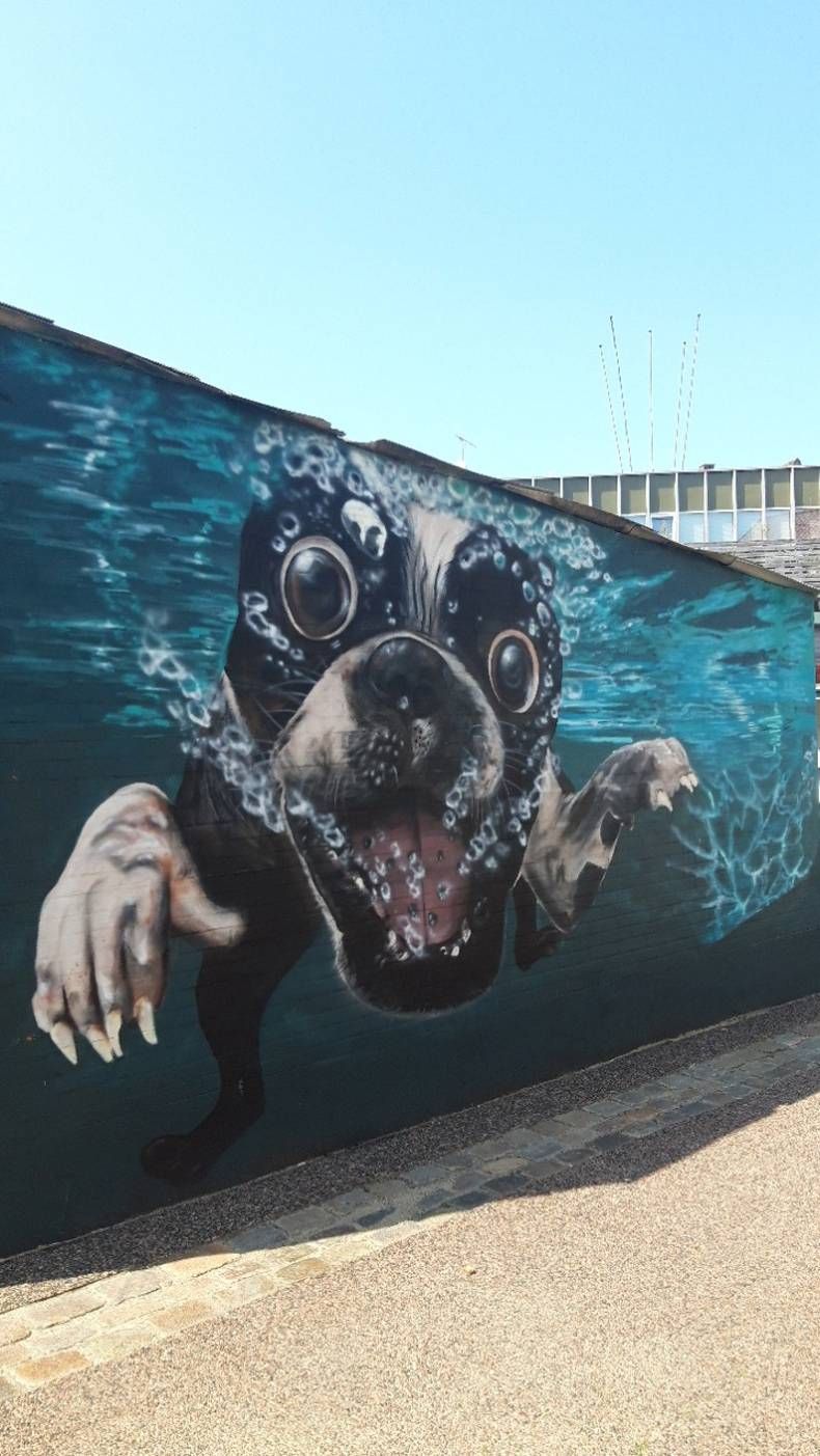 Gewoon een verzameling hilarische foto's #1469