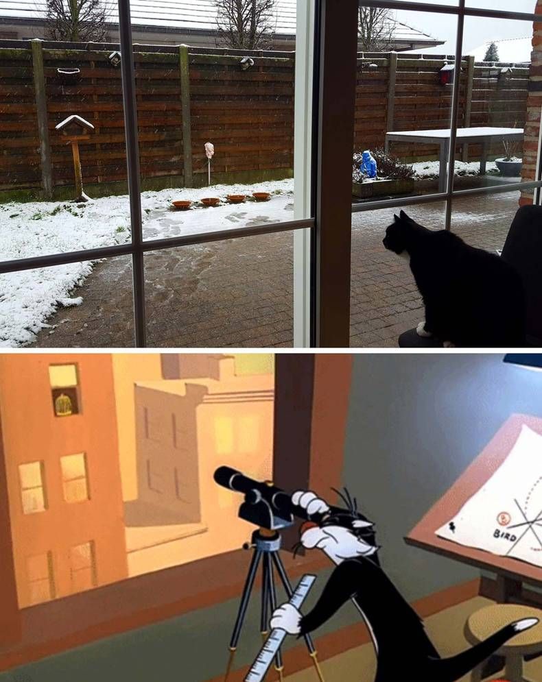 Gewoon een verzameling hilarische foto's #1390