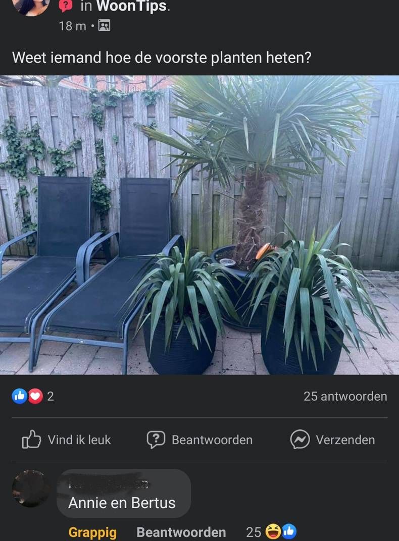 Gewoon een verzameling hilarische foto's #1440