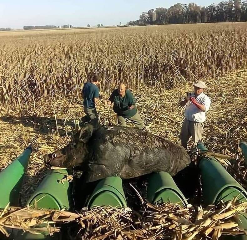 Gewoon een verzameling hilarische foto's #1438